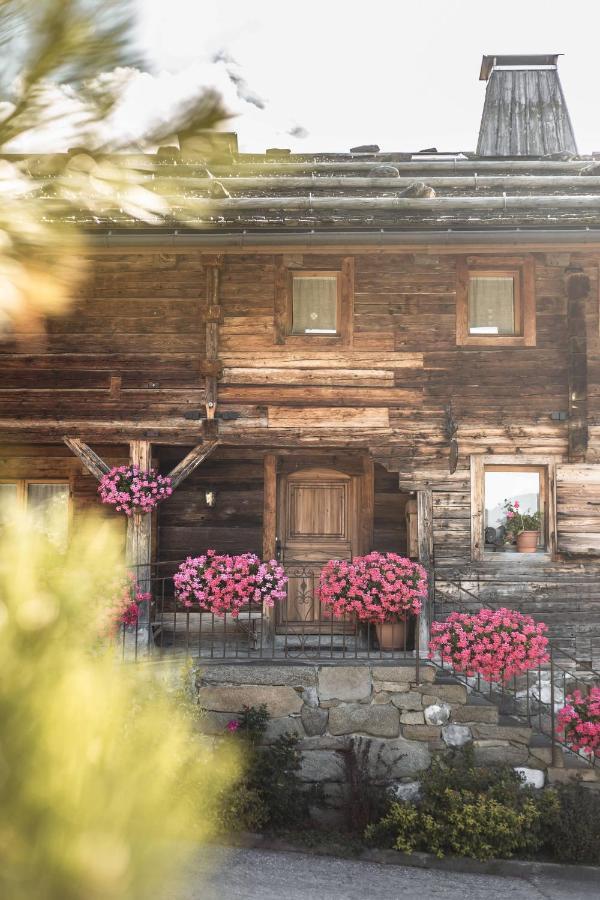 La Ferme Du Var ลาคลูซาซ์ ภายนอก รูปภาพ