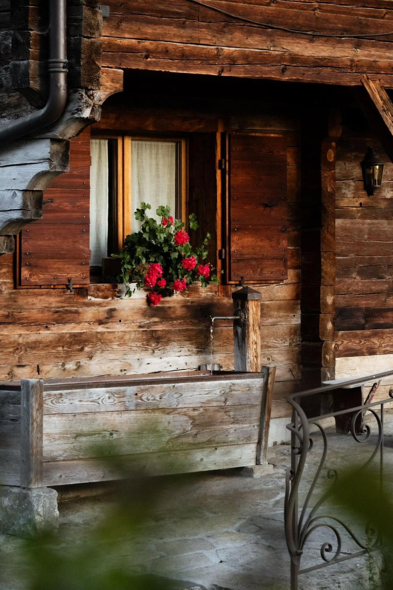La Ferme Du Var ลาคลูซาซ์ ภายนอก รูปภาพ